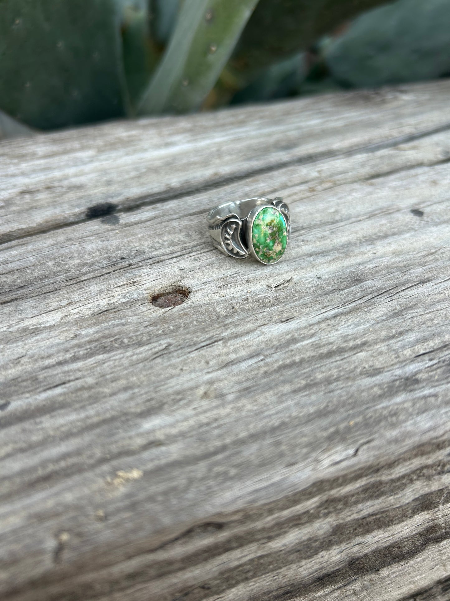 Carson Ring