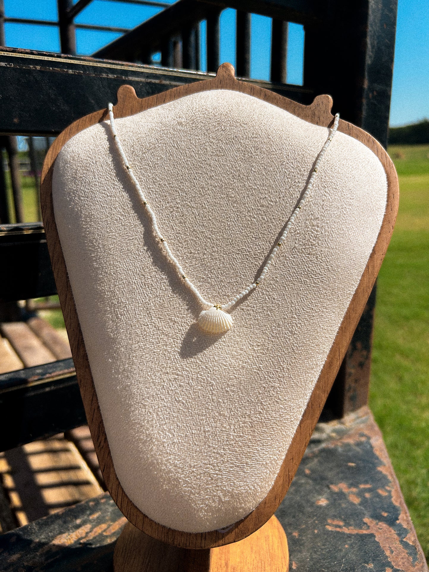 Shell Necklace